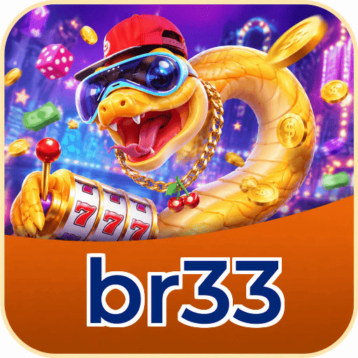 br33